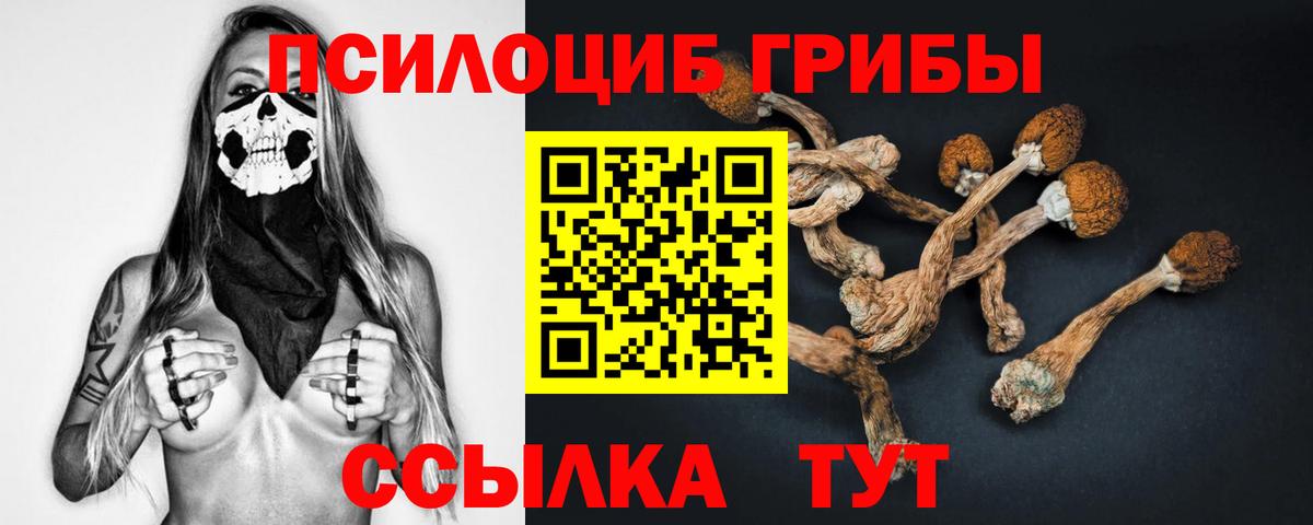 Псилоцибиновые грибы GOLDEN TEACHER  Псилоцибиновые грибы MAGIC MUSHROOMS  Череповец  Вход с VPN 