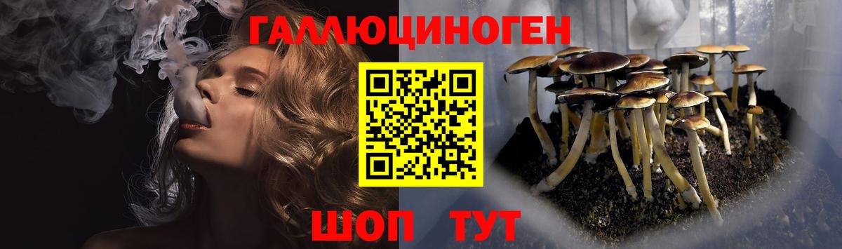 Галлюциногенные грибы мицелий Череповец